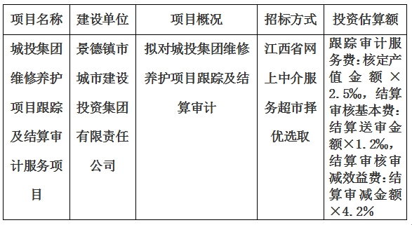 城投集團(tuán)維修養(yǎng)護(hù)項目跟蹤及結(jié)算審計服務(wù)項目計劃公告